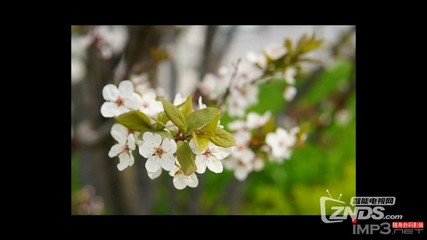 芒果月光寶盒開博爾H10評測:配最新秋香系統(tǒng)