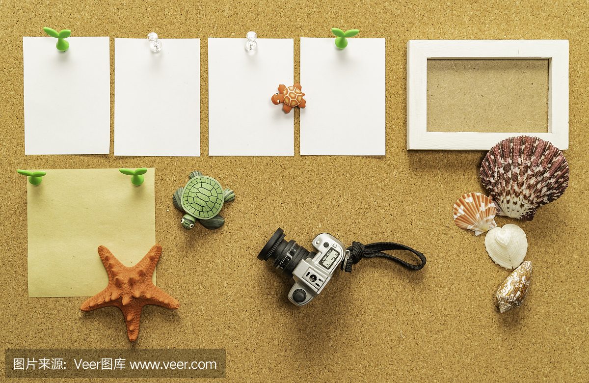 四張空白白紙,一張空白黃紙,配相框、相機、海貝、海星、海龜