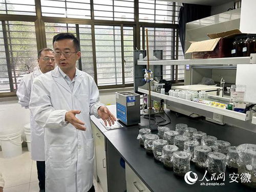 東華科技媒體開(kāi)放日 新材料技術(shù)研發(fā)引領(lǐng)行業(yè)新篇章